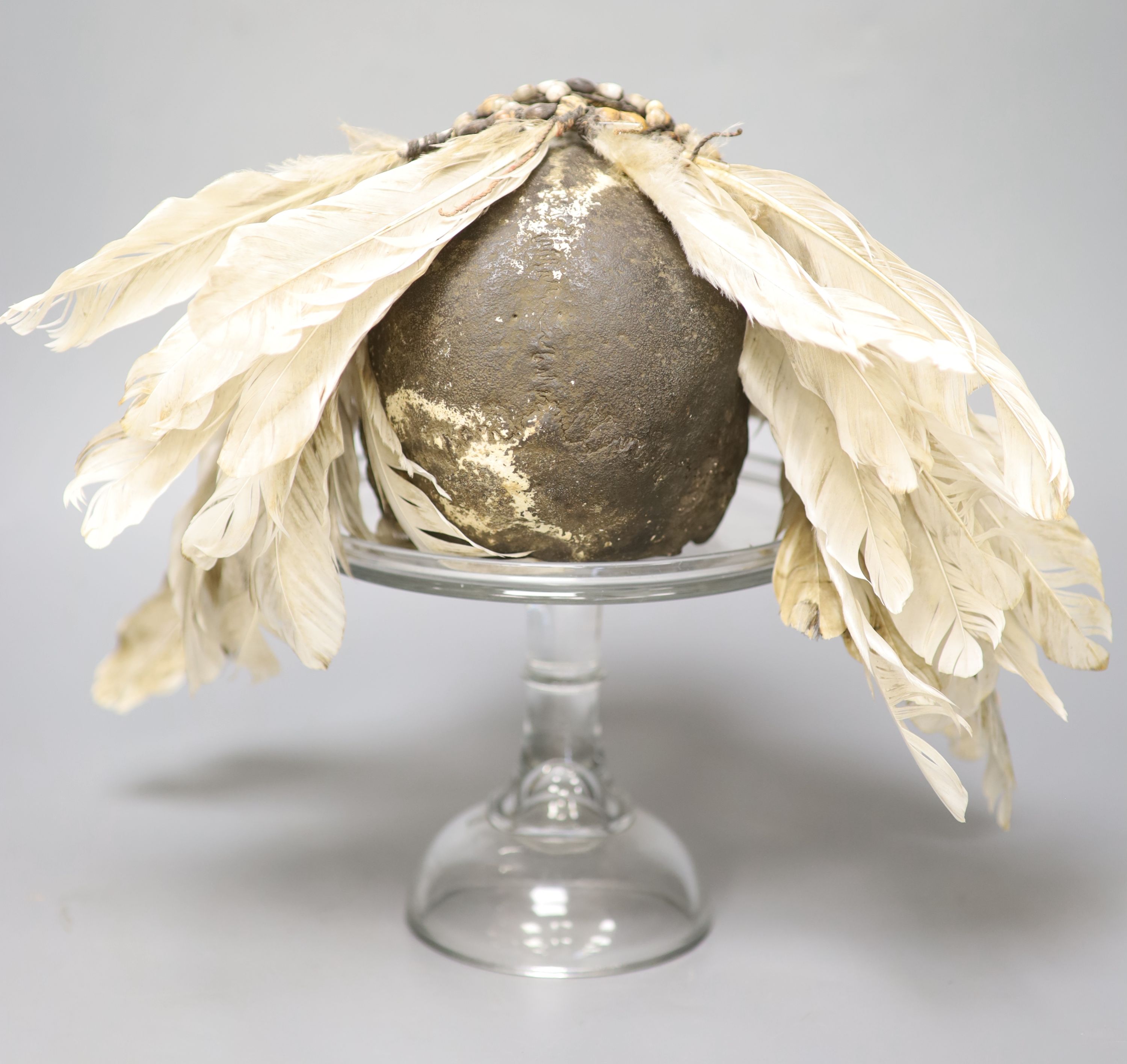 An Asmat ancestral skull, with beaded eyes and feather head-dress, on glass stand